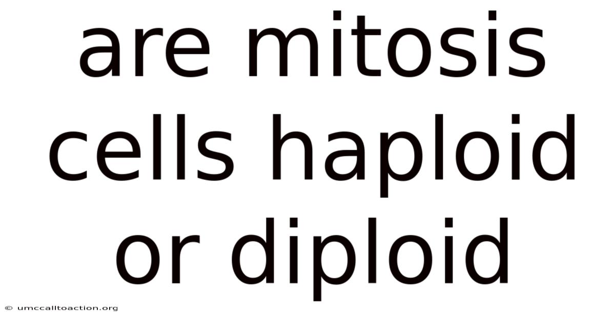 Are Mitosis Cells Haploid Or Diploid