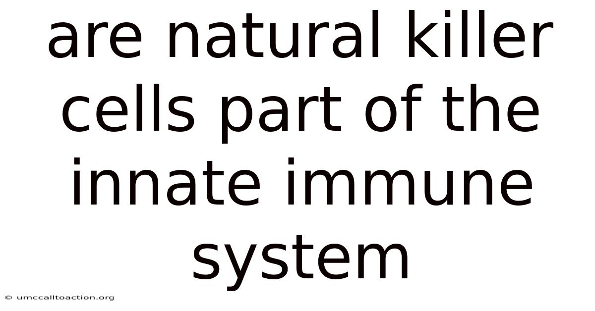 Are Natural Killer Cells Part Of The Innate Immune System