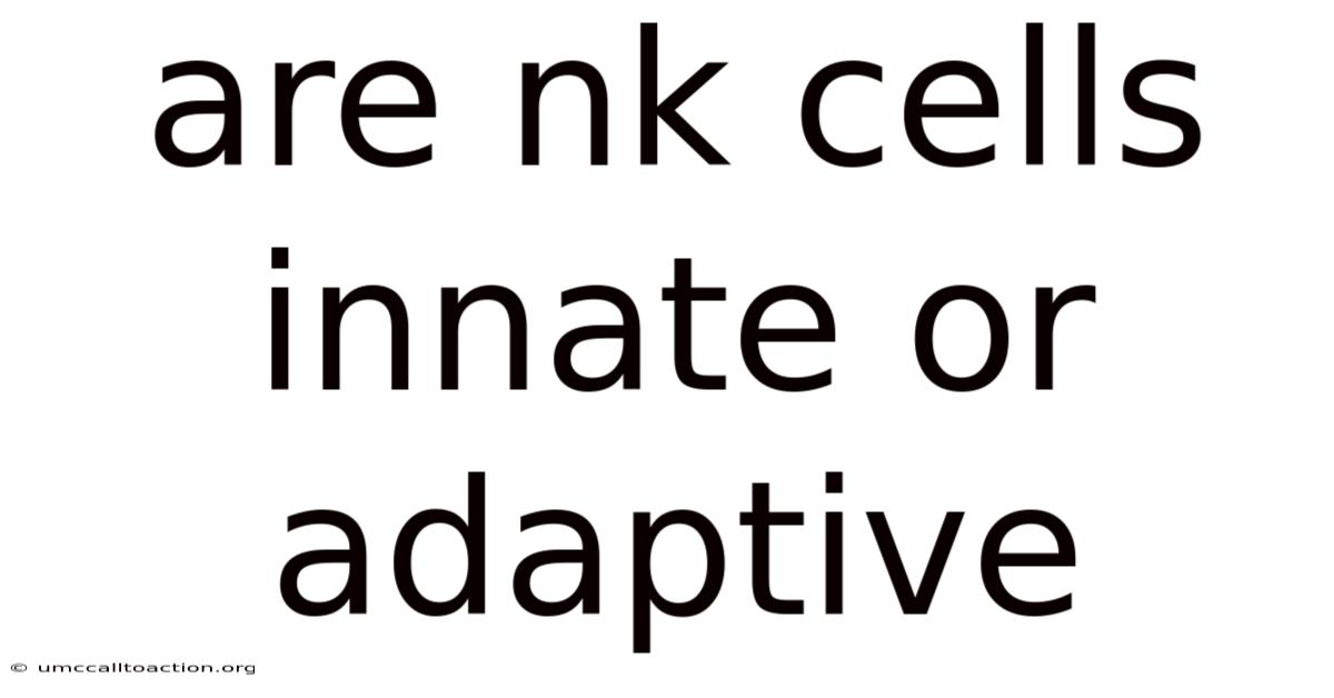 Are Nk Cells Innate Or Adaptive