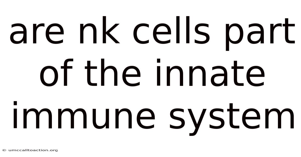 Are Nk Cells Part Of The Innate Immune System