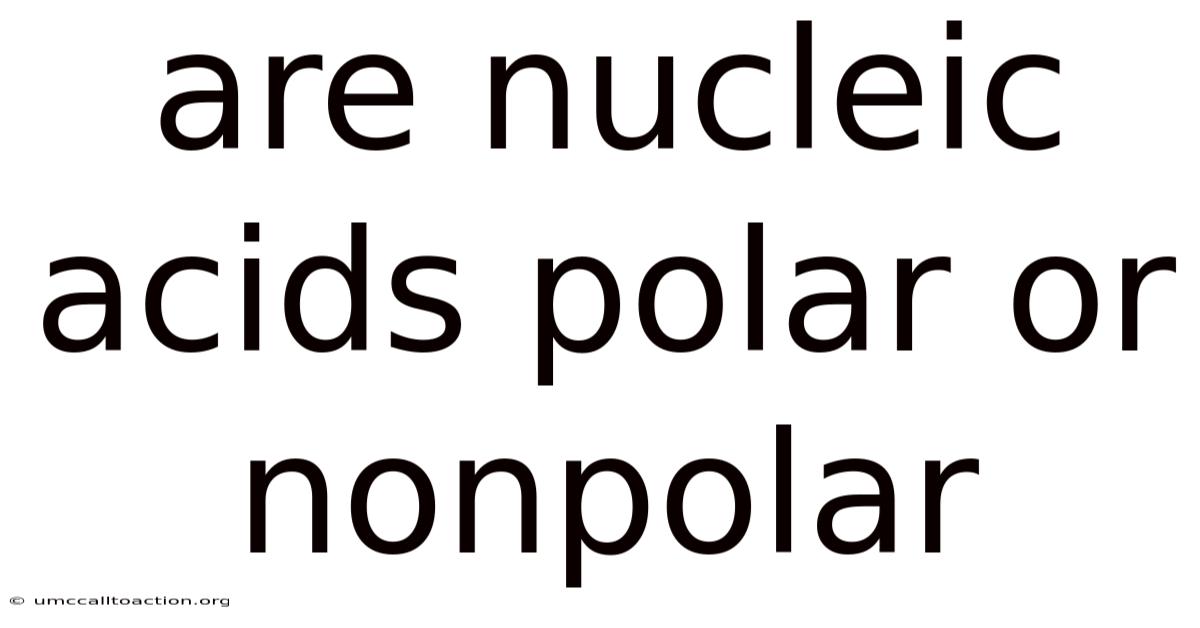 Are Nucleic Acids Polar Or Nonpolar
