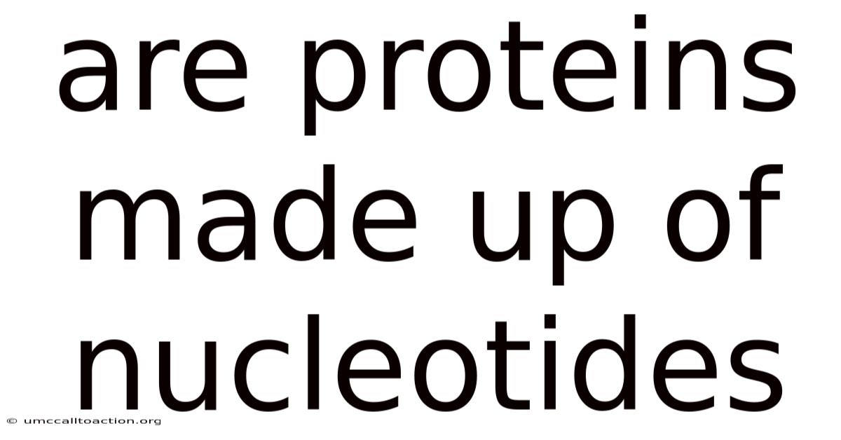 Are Proteins Made Up Of Nucleotides