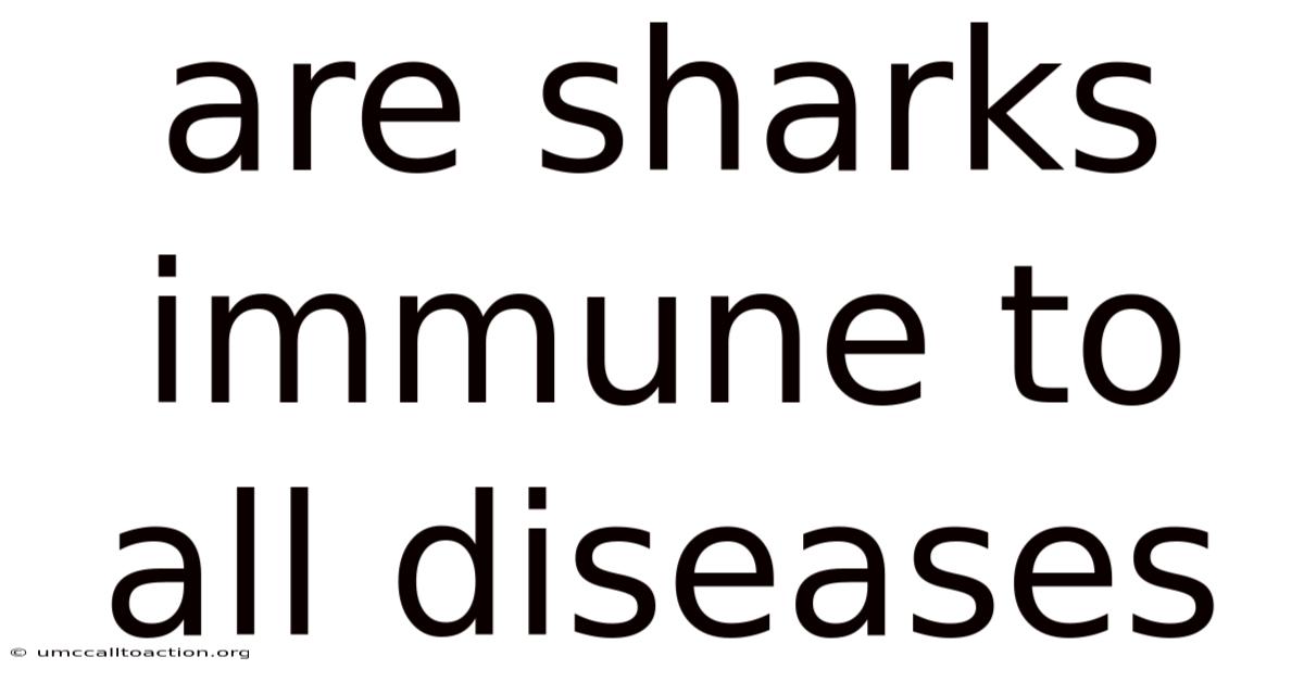 Are Sharks Immune To All Diseases