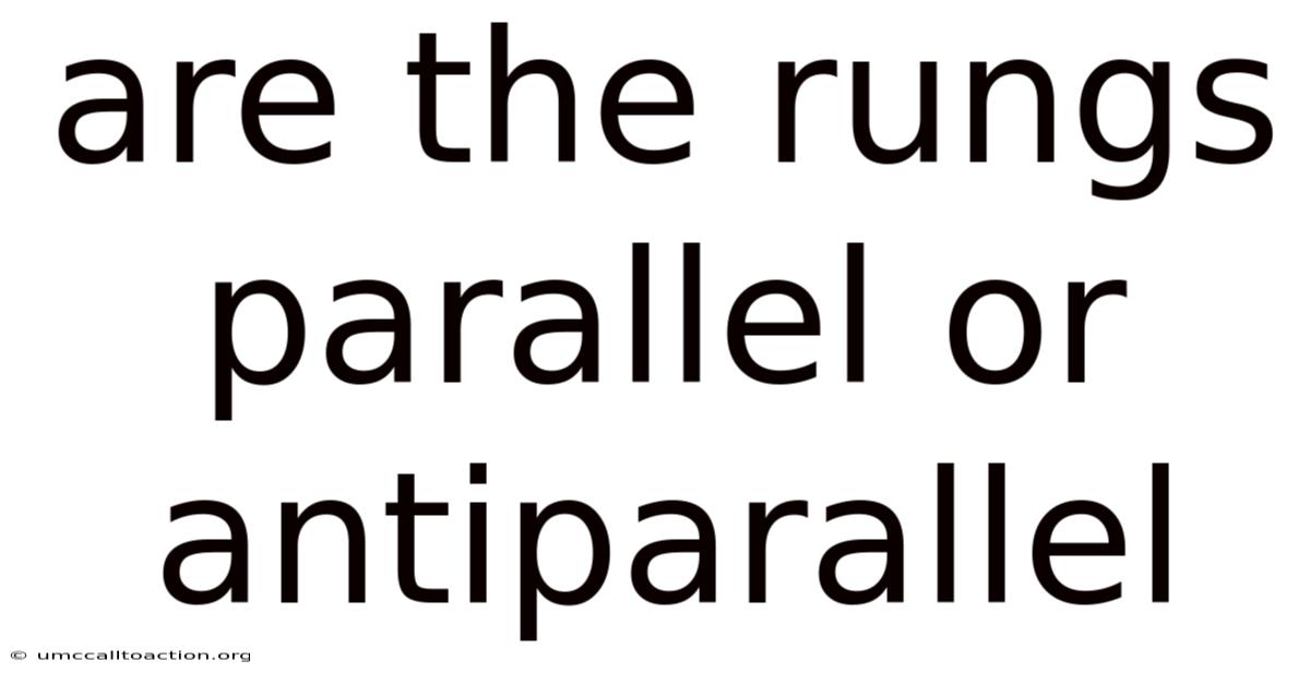 Are The Rungs Parallel Or Antiparallel