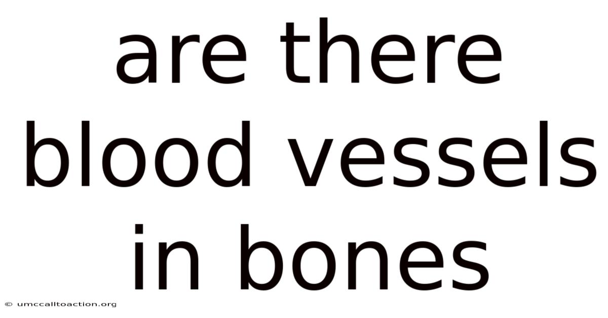 Are There Blood Vessels In Bones