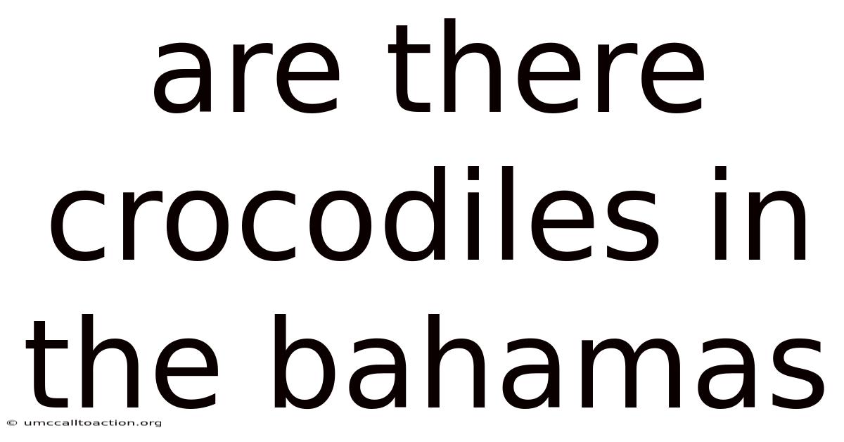 Are There Crocodiles In The Bahamas