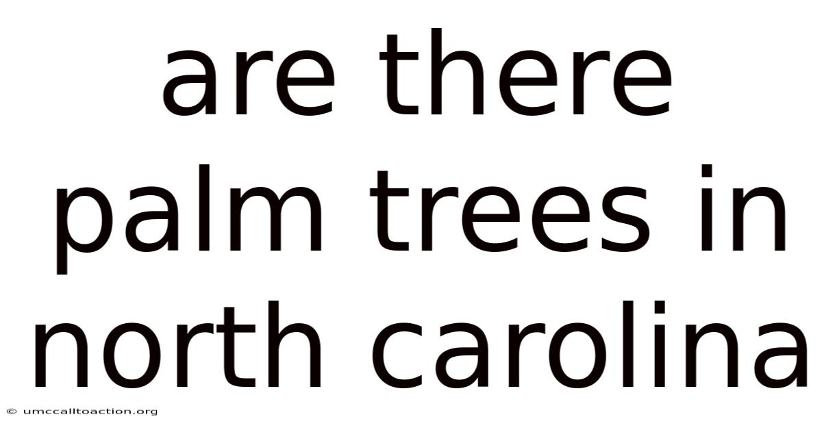 Are There Palm Trees In North Carolina