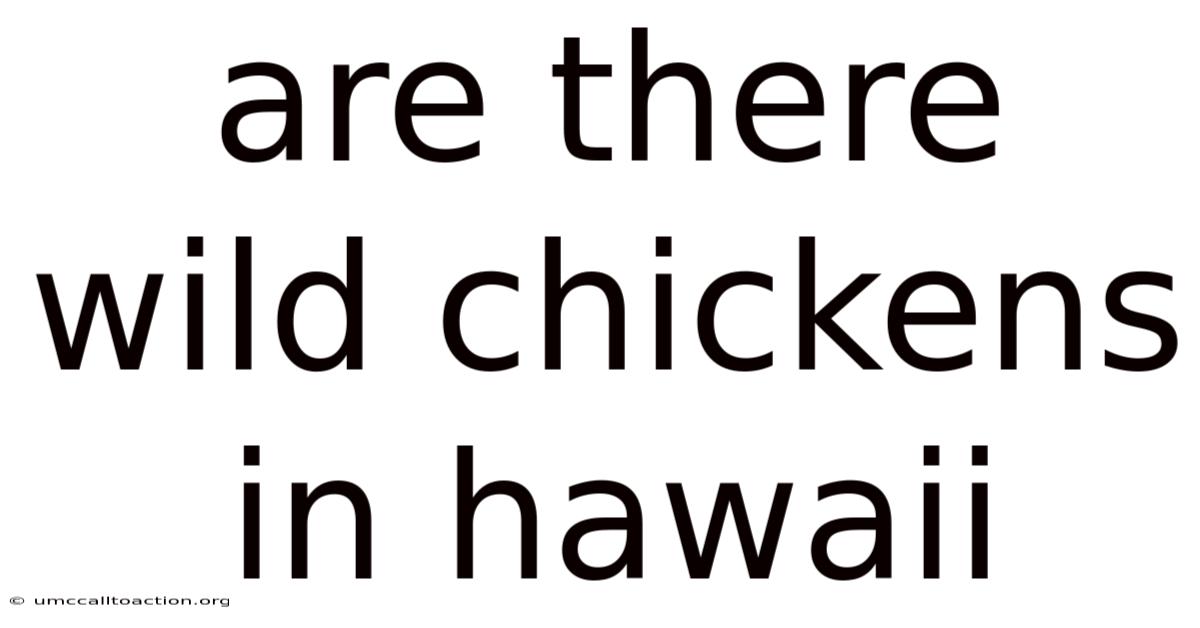 Are There Wild Chickens In Hawaii