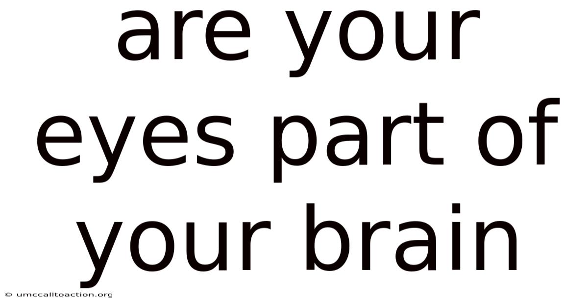Are Your Eyes Part Of Your Brain