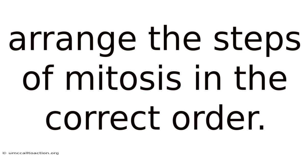 Arrange The Steps Of Mitosis In The Correct Order.