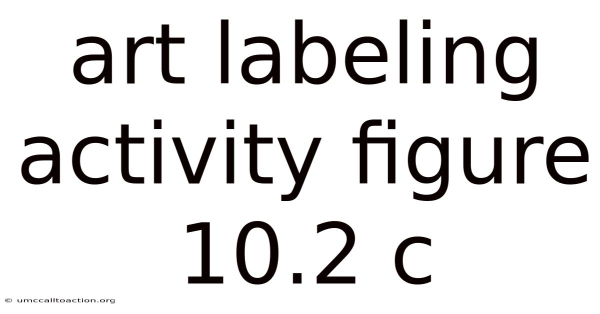 Art Labeling Activity Figure 10.2 C