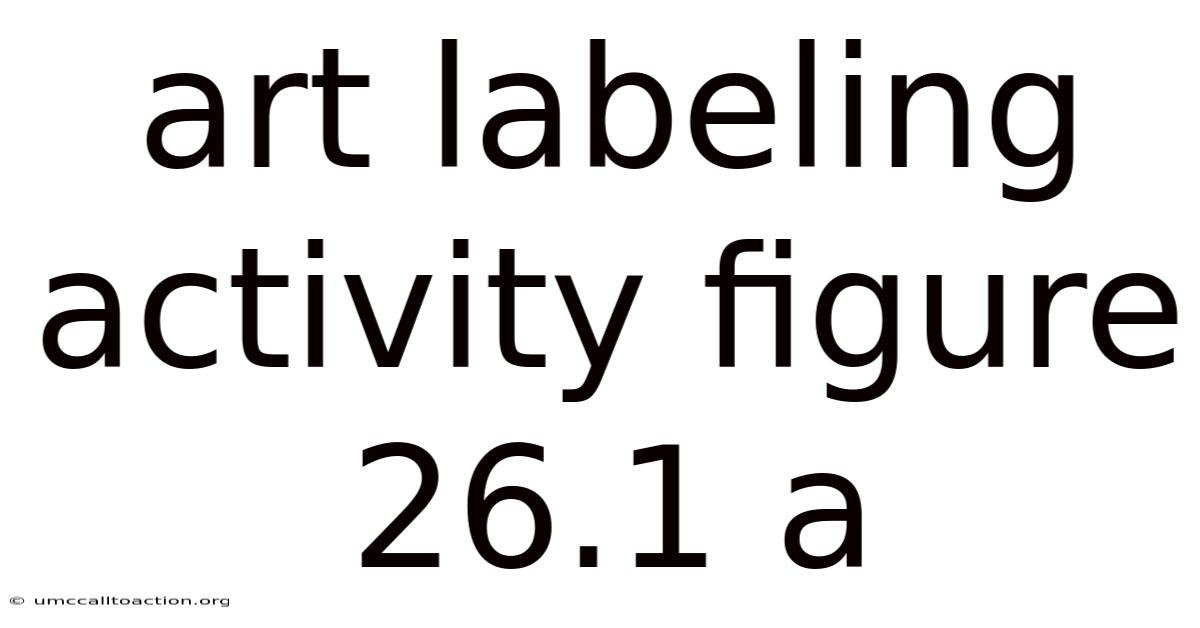Art Labeling Activity Figure 26.1 A