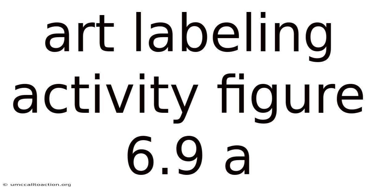 Art Labeling Activity Figure 6.9 A