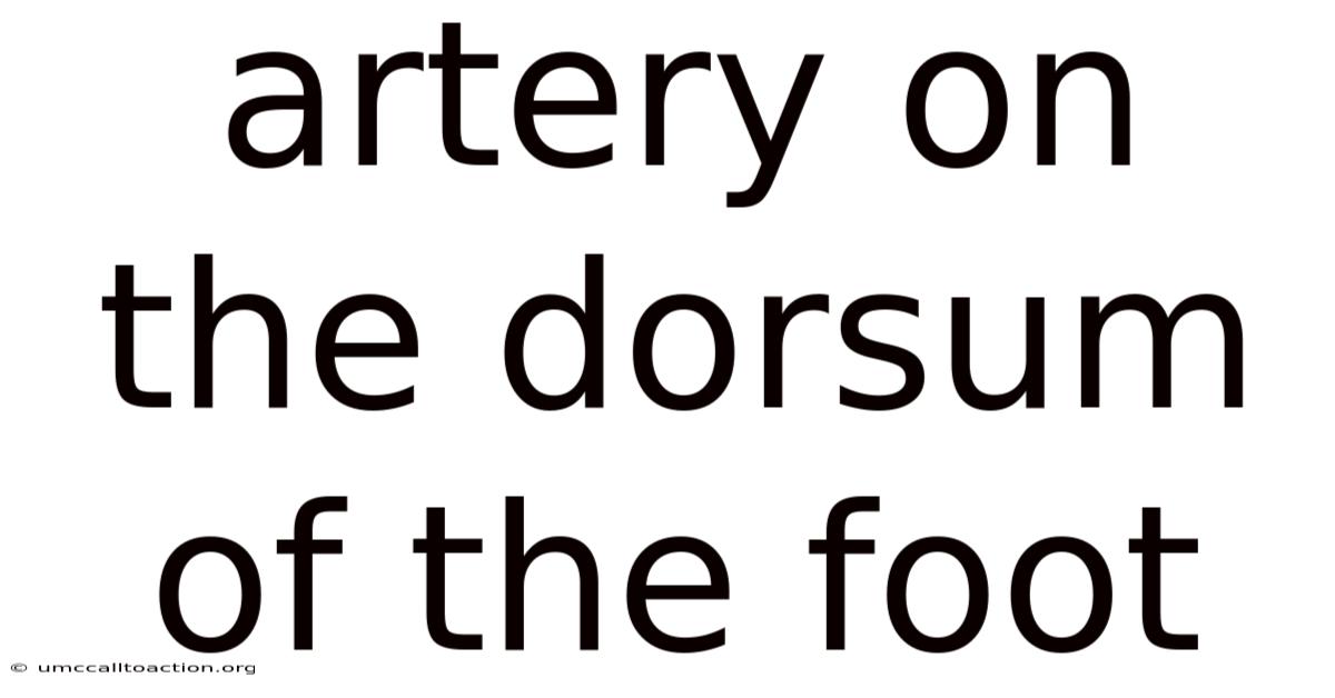 Artery On The Dorsum Of The Foot