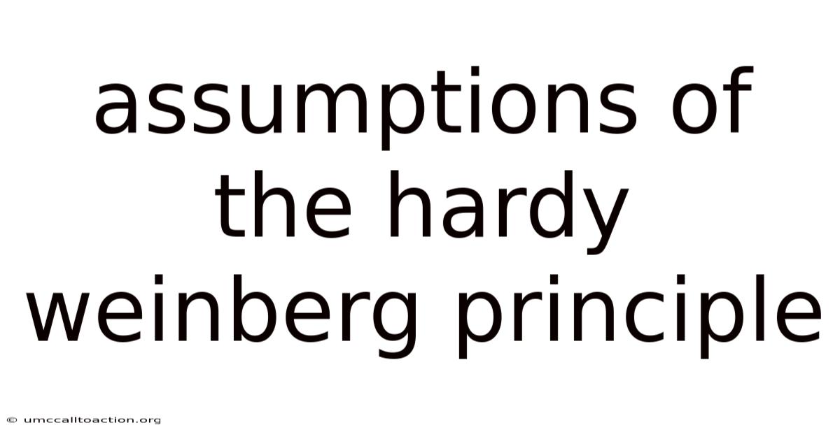 Assumptions Of The Hardy Weinberg Principle