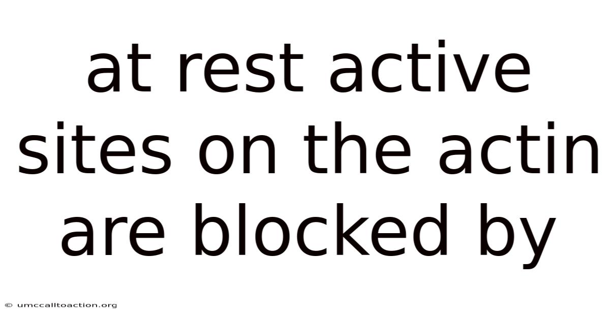 At Rest Active Sites On The Actin Are Blocked By
