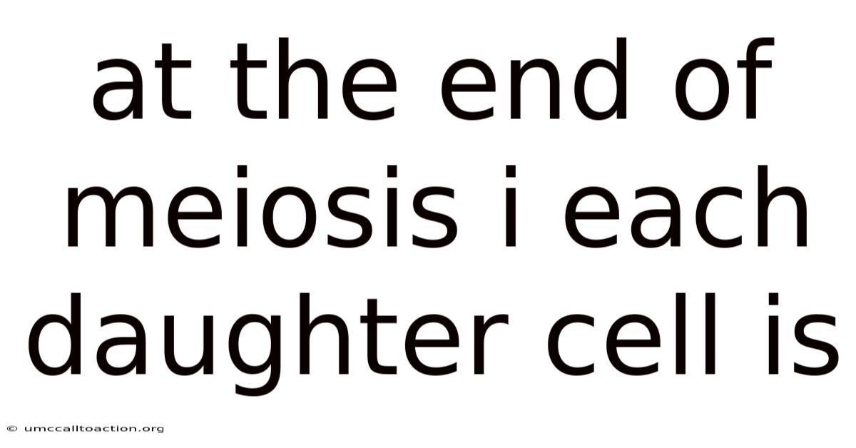 At The End Of Meiosis I Each Daughter Cell Is