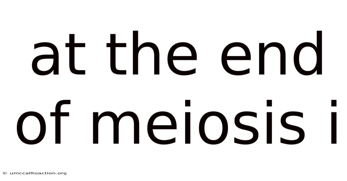 At The End Of Meiosis I