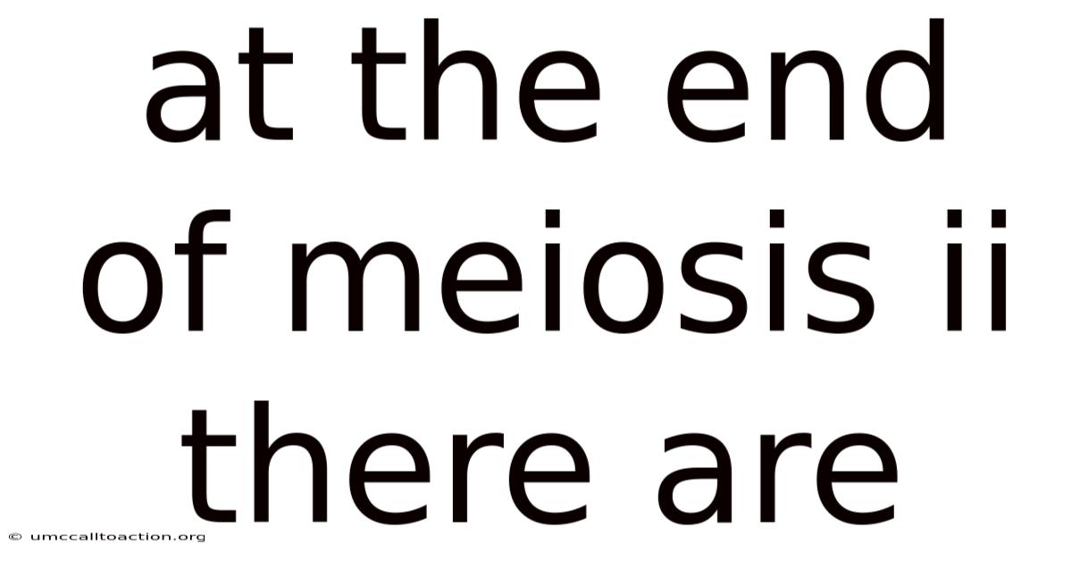 At The End Of Meiosis Ii There Are