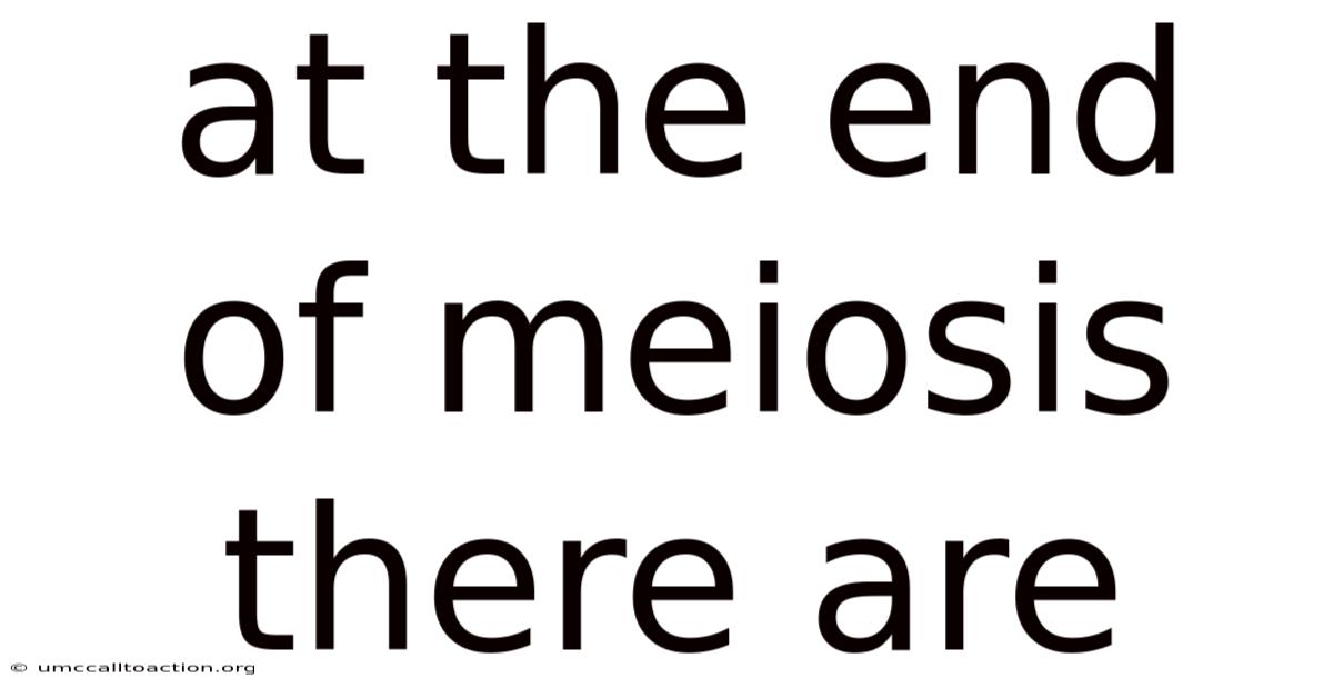At The End Of Meiosis There Are