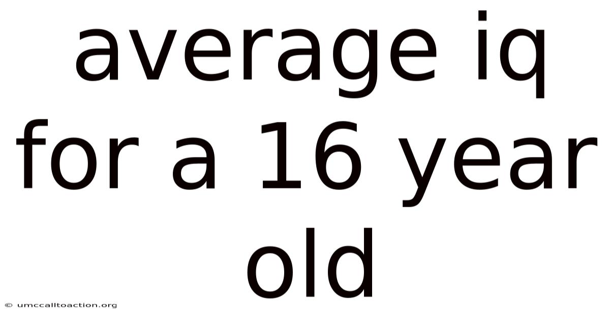 Average Iq For A 16 Year Old
