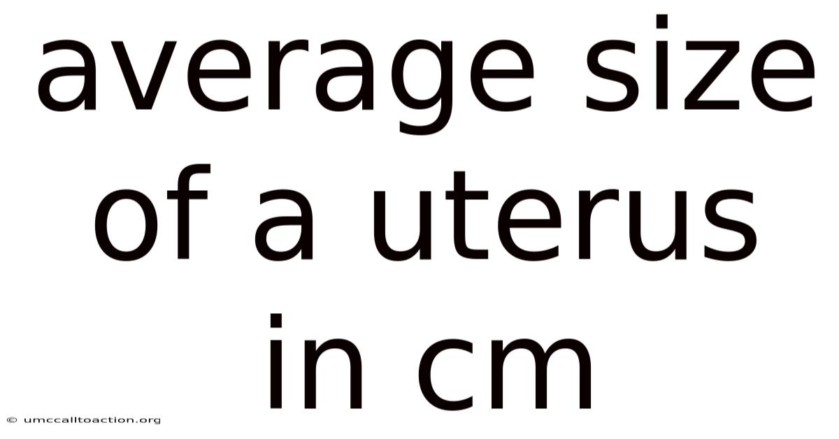 Average Size Of A Uterus In Cm