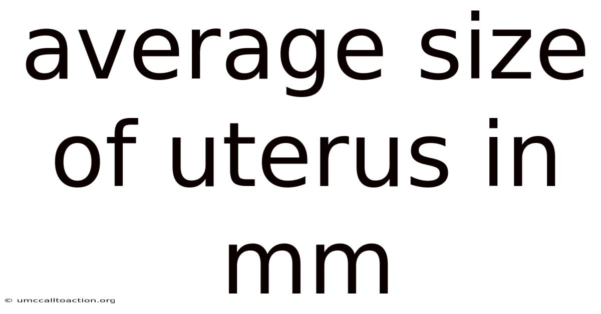 Average Size Of Uterus In Mm