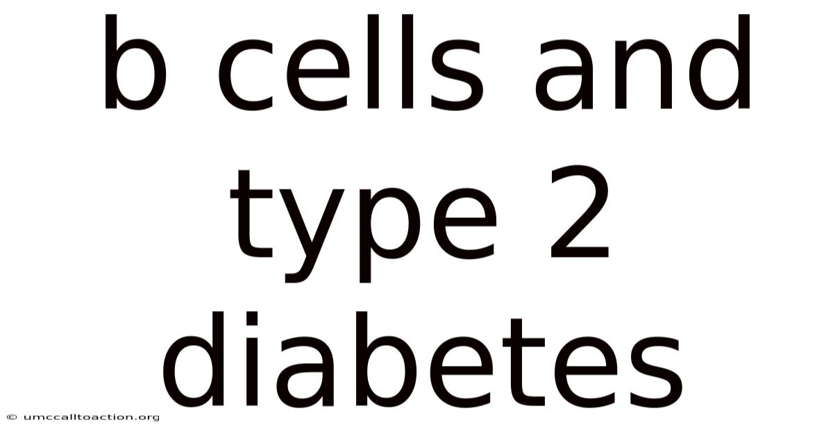 B Cells And Type 2 Diabetes