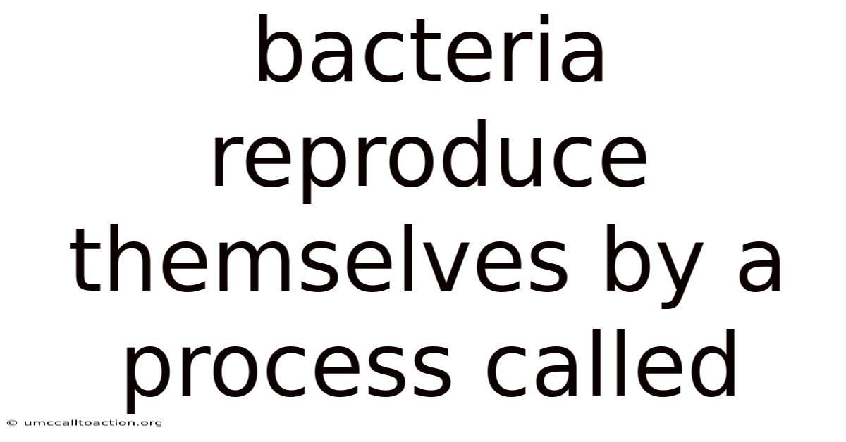 Bacteria Reproduce Themselves By A Process Called