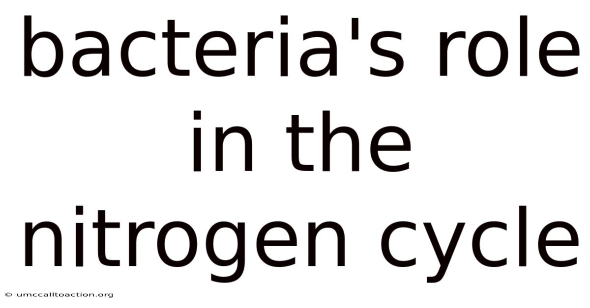 Bacteria's Role In The Nitrogen Cycle