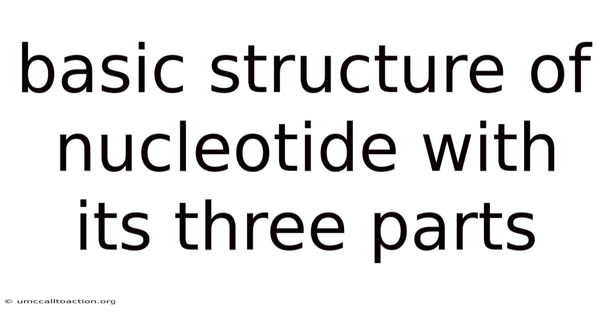 Basic Structure Of Nucleotide With Its Three Parts