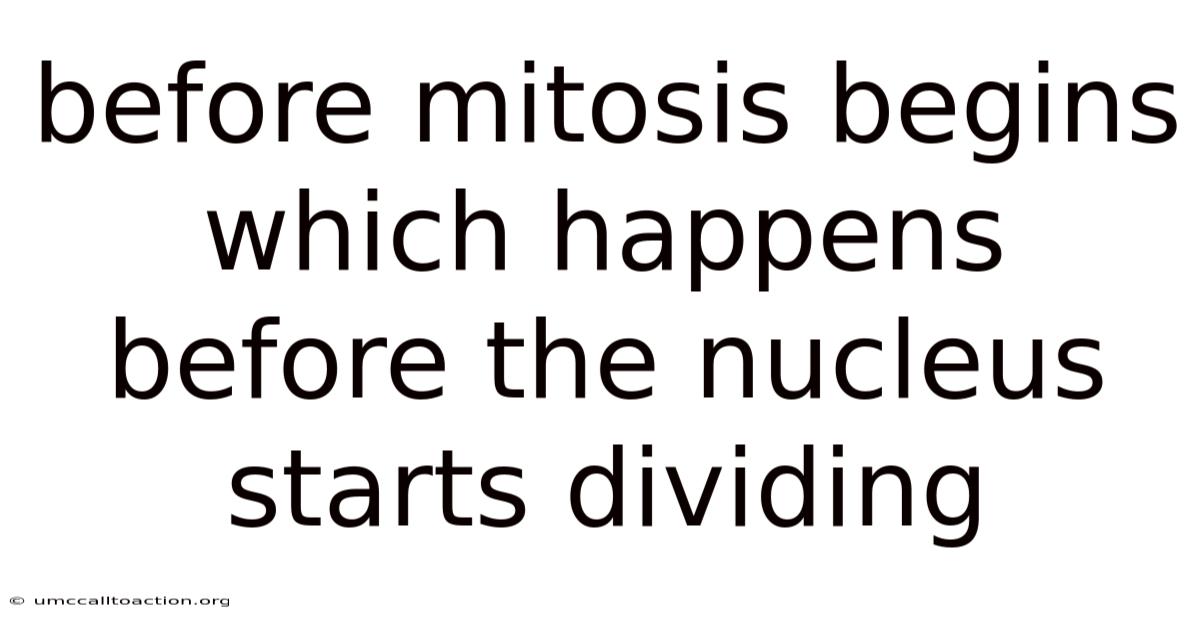 Before Mitosis Begins Which Happens Before The Nucleus Starts Dividing