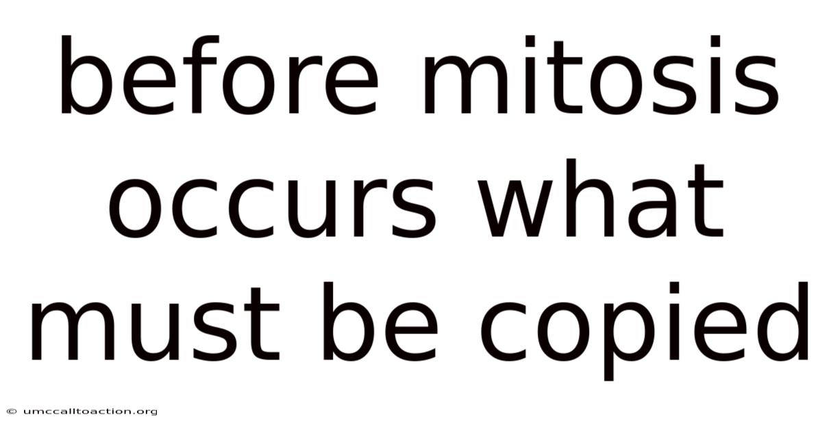 Before Mitosis Occurs What Must Be Copied