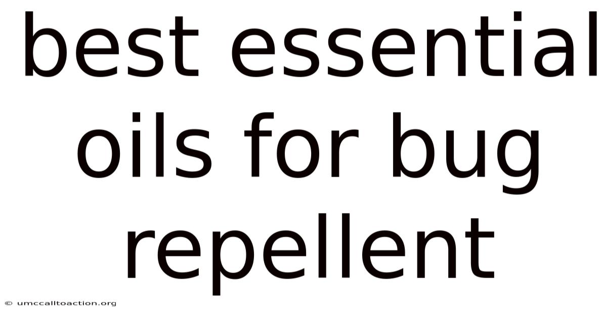 Best Essential Oils For Bug Repellent