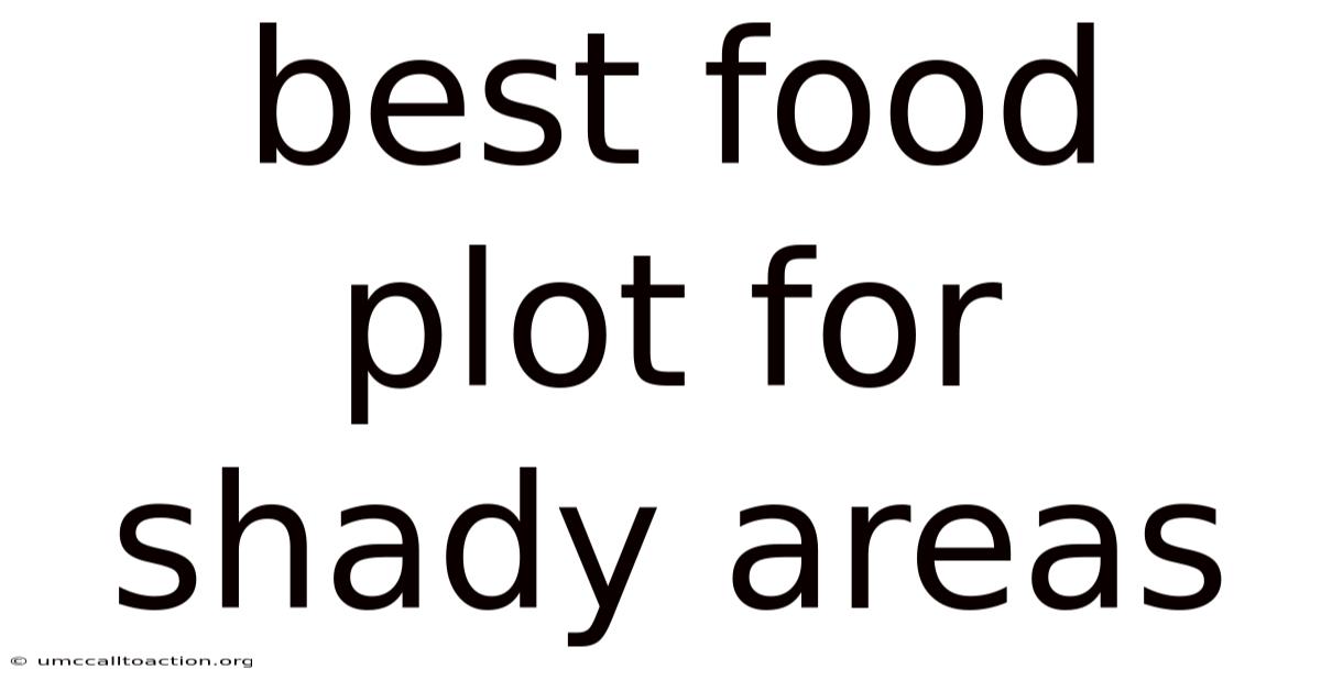 Best Food Plot For Shady Areas