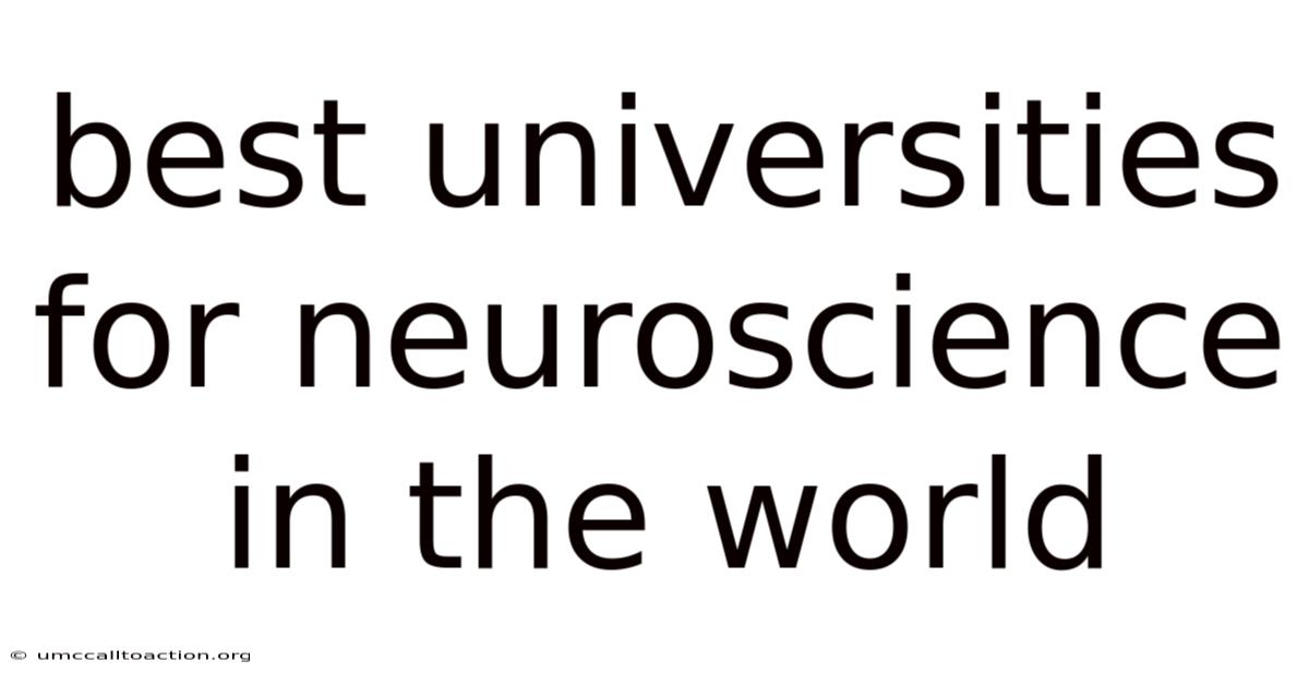 Best Universities For Neuroscience In The World