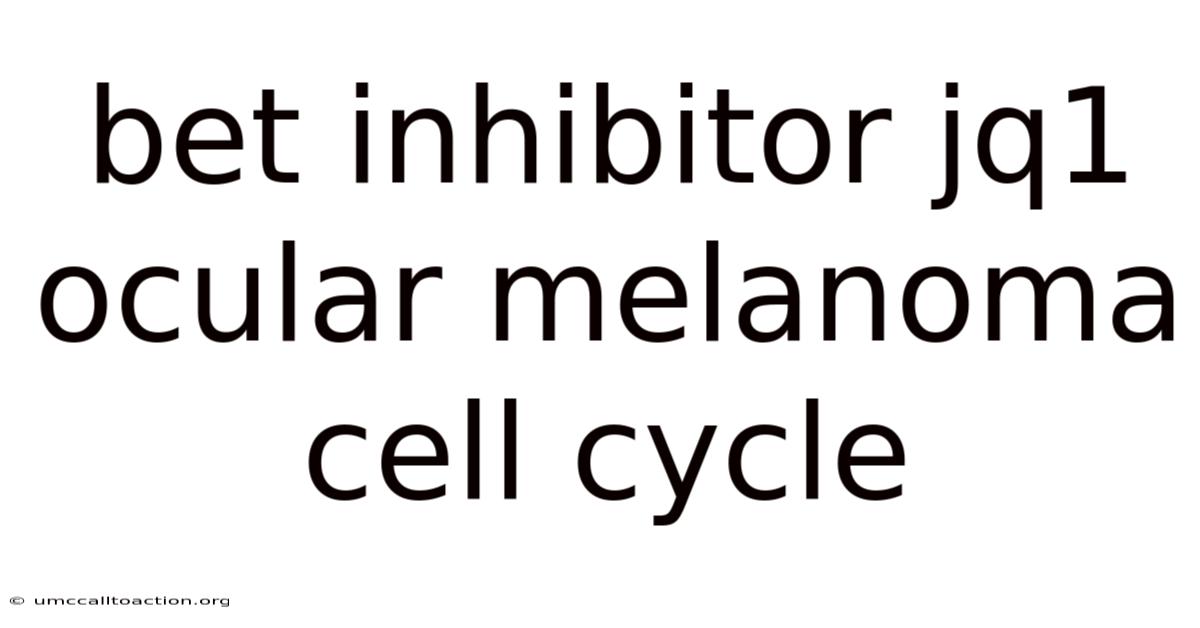 Bet Inhibitor Jq1 Ocular Melanoma Cell Cycle