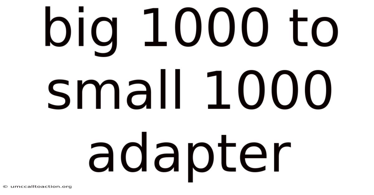 Big 1000 To Small 1000 Adapter