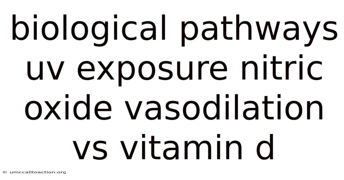 Biological Pathways Uv Exposure Nitric Oxide Vasodilation Vs Vitamin D