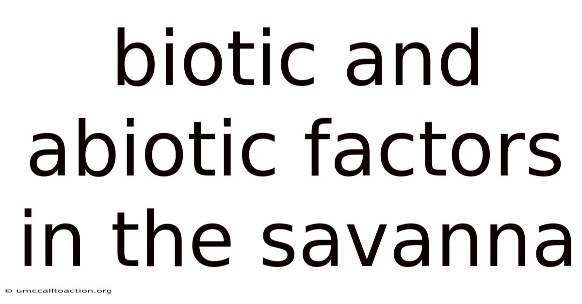Biotic And Abiotic Factors In The Savanna