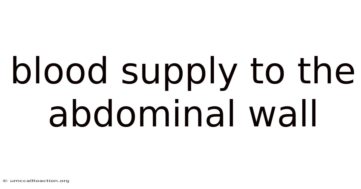 Blood Supply To The Abdominal Wall