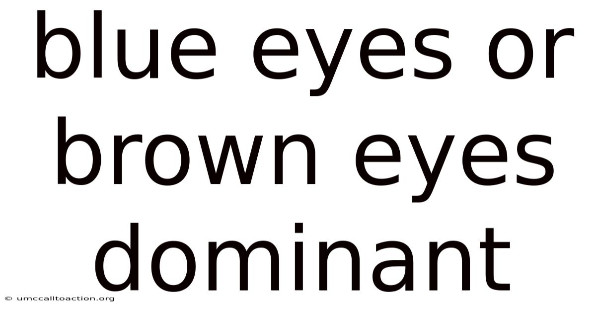 Blue Eyes Or Brown Eyes Dominant