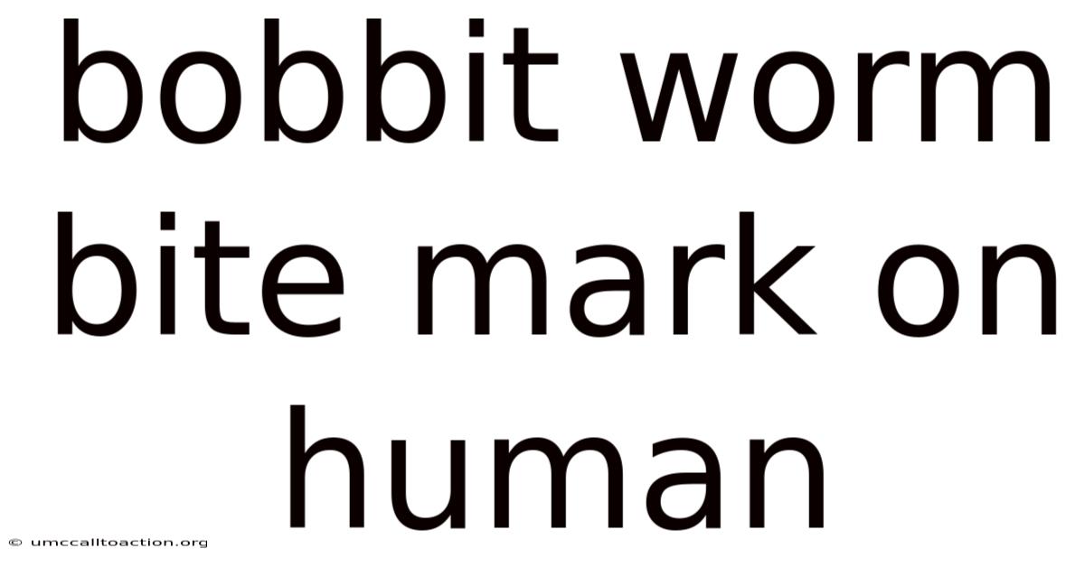 Bobbit Worm Bite Mark On Human