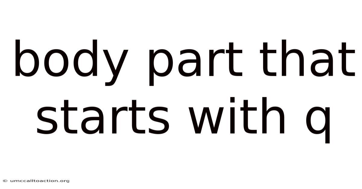 Body Part That Starts With Q