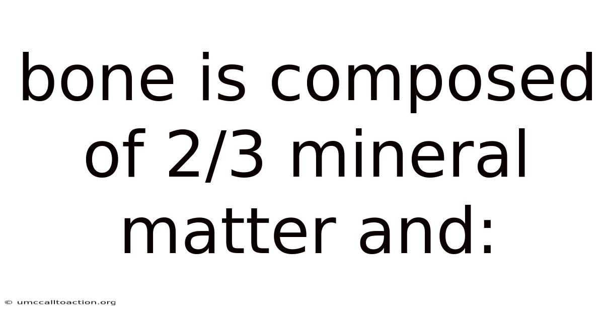 Bone Is Composed Of 2/3 Mineral Matter And: