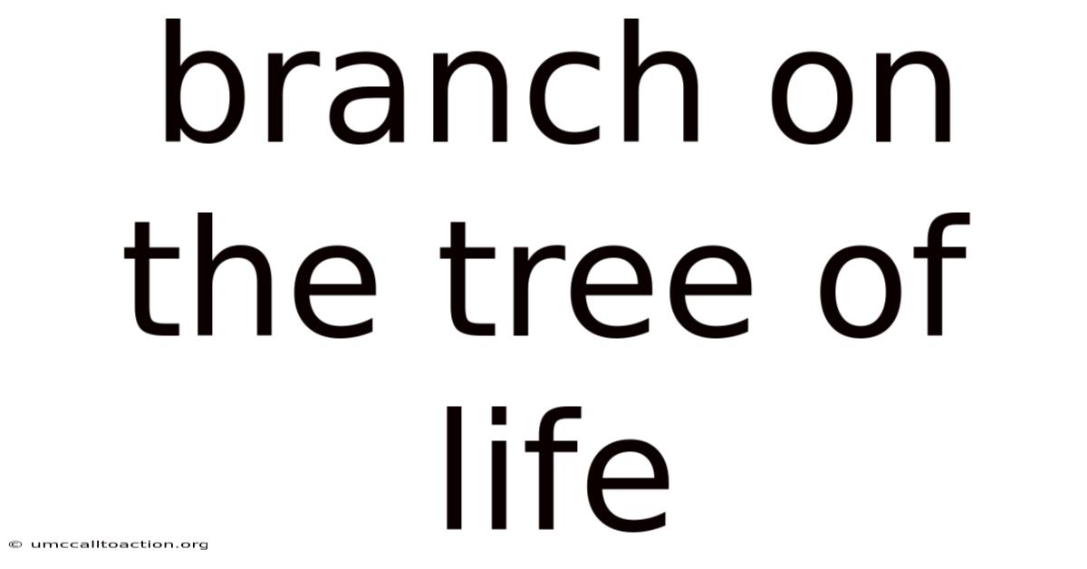 Branch On The Tree Of Life