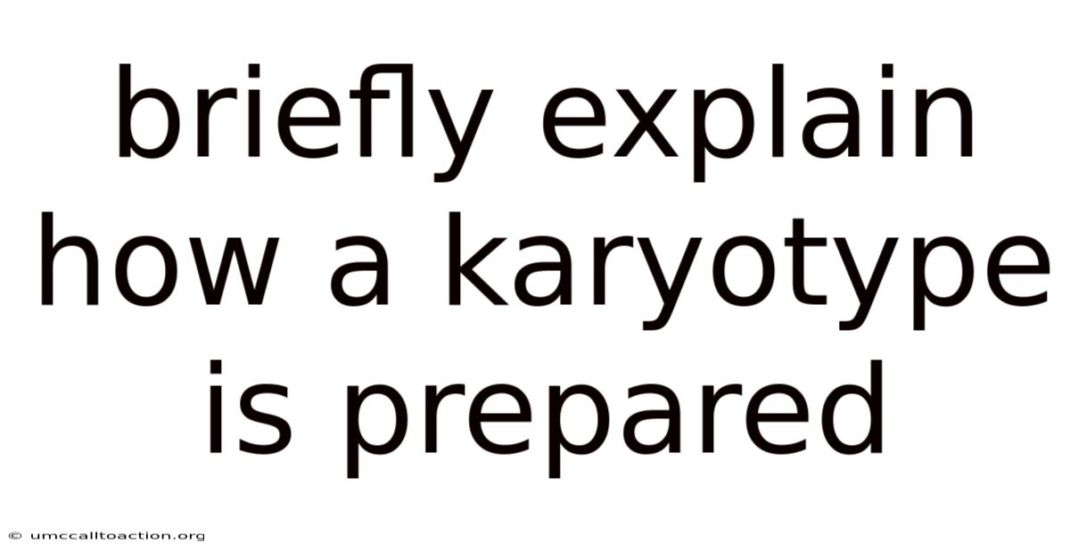Briefly Explain How A Karyotype Is Prepared
