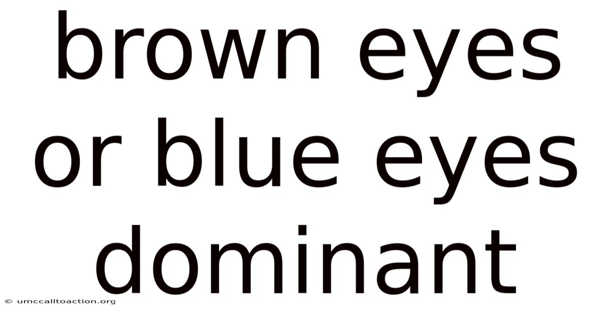 Brown Eyes Or Blue Eyes Dominant