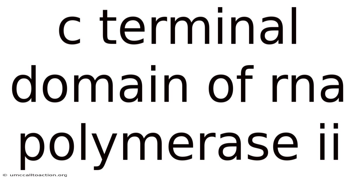 C Terminal Domain Of Rna Polymerase Ii