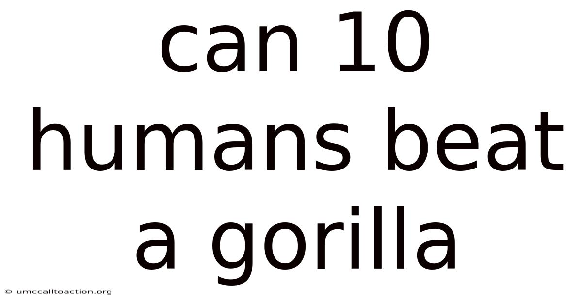 Can 10 Humans Beat A Gorilla